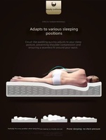 Matelas d'hôtel cinq étoiles pour chambre à coucher, à ressorts ensachés, en latex respirant, avec coussin doux et protection de la colonne vertébrale et de la taille, idéal pour hôpital