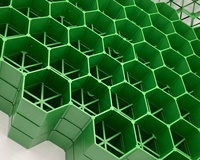 Grilles de gazon en plastique de haute qualité avec matériau HDPE, grille de pavage en plastique pour parking