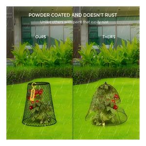 10 ensembles de cloches de protection pour plantes en grillage de jardin antirouille, empêchent les animaux d'entrer - Product Image 6