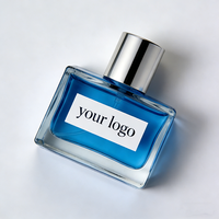 Parfum pour homme de haute qualité, marque privée, usage quotidien, vaporisateur longue durée, 100 ml, Edp, faible MOQ, parfum boisé