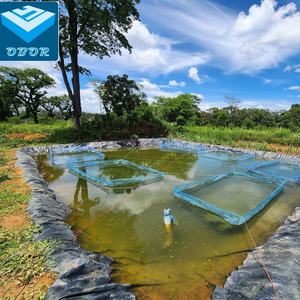 Revestimiento de plástico HDPE para estanque de peces, membrana impermeable, Geomembrana, precio de 2mm - Product Image 3
