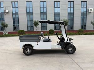 Camion électrique de qualité supérieure, UTV 2 places, chariot de golf avec benne de chargement, benne basculante automatique, capacité de charge de 500 kg, camion de transport électrique - Product Image 4