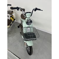 Vélo électrique économique à batterie au plomb pour seniors, cadre basse, roues de 14 pouces, E-Bike