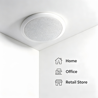 Haut-parleur de plafond de haute qualité au design moderne, compatible avec l'amplificateur de musique de fond, monté au plafond
