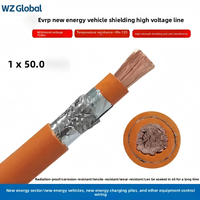 125 ° C Hoch temperatur, 1500V EV-Kabel | XLPE-isoliertes Hochspannung kabel für EV-Lades tapel von EVR