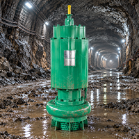 Dispositif d'agitation entièrement submersible résistant à la corrosion pour charges lourdes, pompe à boue submersible pour la déshydratation des mines et les bassins de rejet