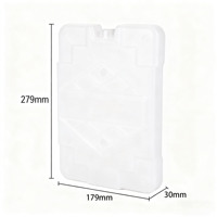 Brique de glace en gel réutilisable PE 1000ml avec sérigraphie pour le refroidissement des aliments, le barbecue et le pique-nique.