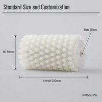 Brosse à poils droits en nylon blanc WNB-60x250 PA66 Brosse à rouleaux cylindrique avec corps en plastique PP