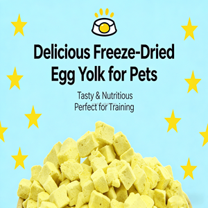 Friandises <span class=keywords><strong>pour</strong></span> chiens en forme de pastilles de <span class=keywords><strong>fromage</strong></span> aux fruits et légumes personnalisées, cubes de <span class=keywords><strong>fromage</strong></span> au poulet, petits cubes de <span class=keywords><strong>fromage</strong></span> <span class=keywords><strong>pour</strong></span> hamster, soin dentaire <span class=keywords><strong>pour</strong></span> animaux de compagnie - Product Image 4