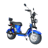 Fabrika OEM/ODM Elektrikli Motosiklet 1500W Ev Tipi Yetişkin Motosikleti Scooter Dayanıklı Çelik Gövde Su Geçirmez Ekran Şehir İçi Ulaşım BİSİKLETİ