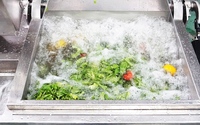 Automatische kantelbare ultrasone ozonwasmachine voor groenten, fruit en vlees (kool, sla etc.)