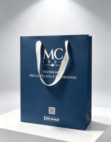 Emballages cadeaux artisanaux de luxe durables en carton, sacs en papier résistants à la graisse, poignées en ruban, biodégradables, impression offset avec logo personnalisé
