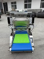 Machine de remplissage et de formage de moules à sirop et chocolat de haute qualité avec servomoteur, pour la dépose de gelée et de sucre