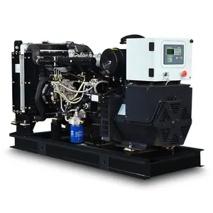 Generatore diesel 33kva con motore yangdong 27generatore elettrico 27kw tipo silenzioso