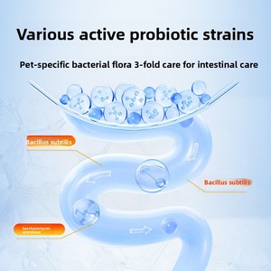 Probiótico en Polvo para Gatos, Suplemento Nutricional para Mascotas, Producto de Salud Universal para Perros y Gatos, Tesoro Digestivo - Product Image 4