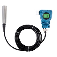 Capteur de niveau d'eau liquide hydrostatique 50m 100m pour forage de puits profond 0-5v 0-10v transmetteur de capteur de niveau d'eau de pluie lcd