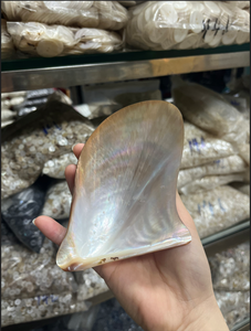 Thiên nhiên tròn dày khói đen đen 2 lỗ nút áo 4 lỗ 14L 16L 18L 20L tấm trà nút vỏ Chim Cánh Cụt - Product Image 4