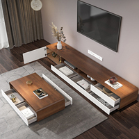 Meuble TV et table basse de style minimaliste moderne pour salon, avec rangement pratique et design unique