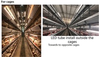 IP67 équipement d'éclairage pour volaille bonbillo para granjas de pollos E27/HT19 ampoules led T8/T12 tubes led ampoules et tubes led