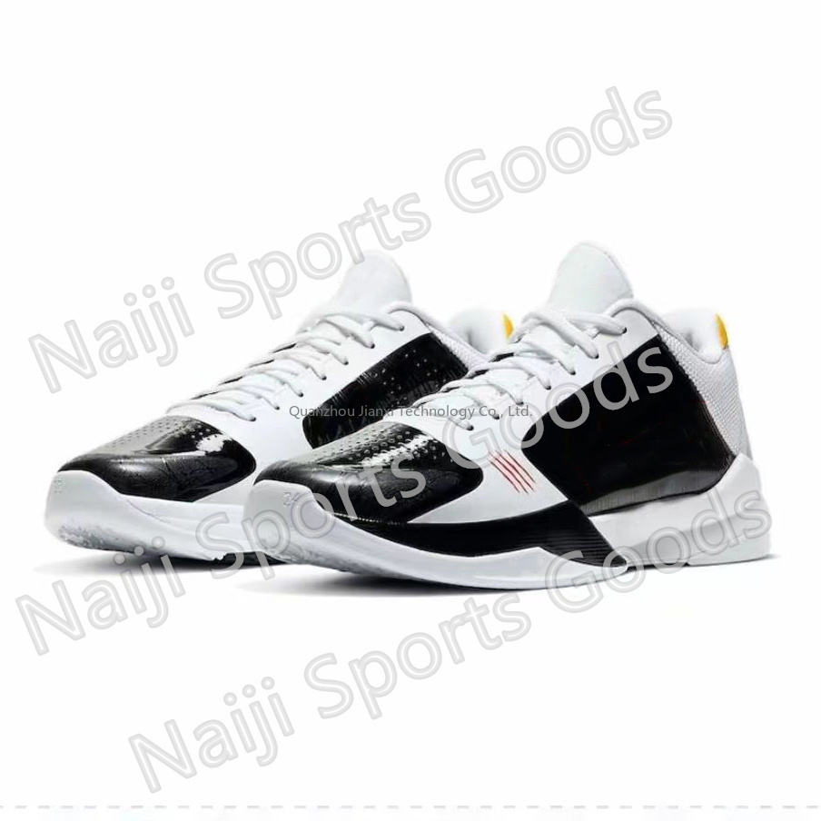 basketball shoes that nba players wear