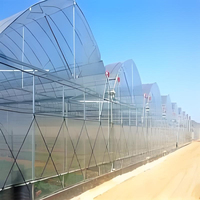Serre intelligente de 1000 m² à conception anglaise, directement de l'usine, avec matériaux PE et film, multi-travées monocouche