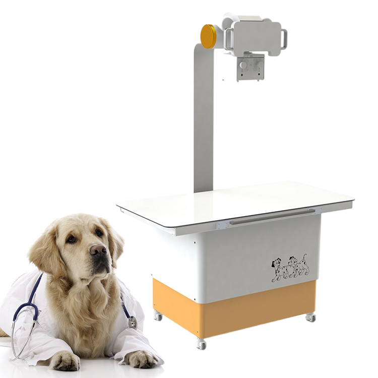 Equipos de Rayos X Médicos de Alta Frecuencia Columna Doble Fija 20kW Máquina de Rayos X para Animales Veterinarios