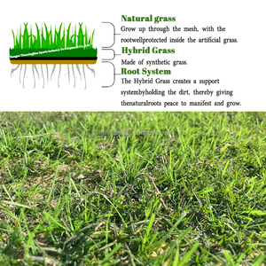 <span class=keywords><strong>Gazon</strong></span> artificiel tissé imperméable de haute qualité pour l'aménagement paysager de jardin extérieur à faible <span class=keywords><strong>entretien</strong></span> et respectueux des animaux domestiques - Product Image 6