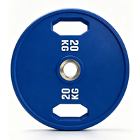 Disques de poids Bumper personnalisés pour haltères de compétition et d'exercice en salle de sport, 2,5-25 kg, pour dropshipping et stockage, à vendre
