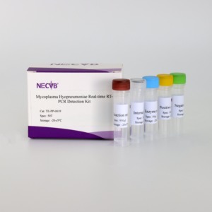 Bộ pcr huỳnh quang độ nhạy cao cho <span class=keywords><strong>Mycoplasma</strong></span> hyopneumoniae ở lợn-Kết quả nhanh chóng - Product Image 3