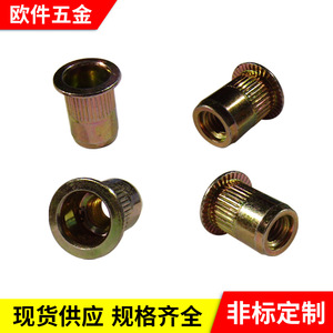 Tuercas remachables europeas M3 M4 M5 M6 M8 zincadas para la industria de la construcción, grado A, estándar GB T 17880.4 - Product Image 2