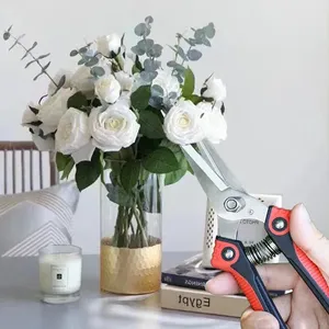 Ciseaux à fruits en acier inoxydable, ciseaux de jardin pour la taille des branches d'arbres et le jardinage, ciseaux multifonctionnels robustes - Product Image 2