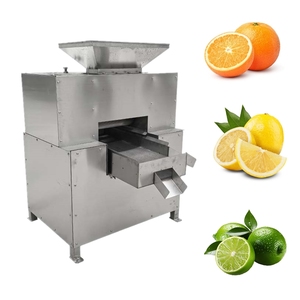 Endüstriyel teur cteur De Jus sıkacağı sıkacağı taze limon meyve suyu için büyük portakal suyu yapma makinesi sıkılmış - Product Image 1