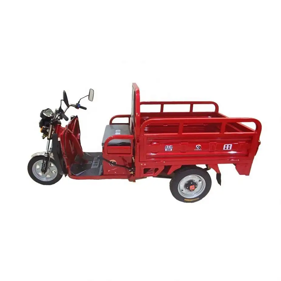 Top 70Km Electrically Operated Tricycle 250Cc Mini Electric Car With Cheap Price