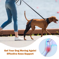 Support de genouillère professionnel pour chien avec matériau réglable en Spandex et nylon Soulagement de la douleur Utilisation quatre saisons-Conrida CD002