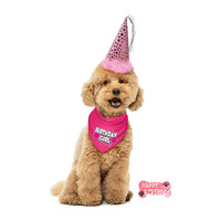 Ensemble d'anniversaire pour animaux de compagnie Baboney : Foulard triangulaire, chapeau d'anniversaire, jouet en forme d'os en polyester style dessin animé pour chats et chiens, toutes saisons