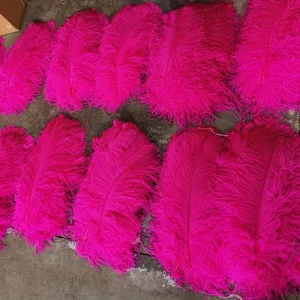60-65cm nhuộm lớn lurex Hồng Đen Trắng mua chất lượng tốt nhất trung tâm lông lông đà điểu để trang trí đám cưới