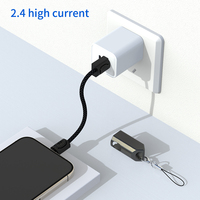 Kabel Data Pengisi Daya Tipe-C Model Gantungan Kunci untuk Ponsel dan Power Bank Harga Pabrik