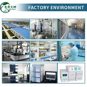 ผงอารบิกกัมเกรดอาหาร ราคาประหยัด สารเพิ่มความข้น สีขาว บรรจุถุง 25 กก. สำหรับใช้ในอุตสาหกรรมอาหาร - Product Image 6