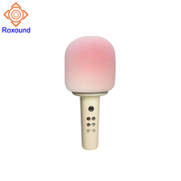 Microphone portable personnalisable OEM ODM pour haut-parleurs sans fil portables mignons à LED RGB, en métal et plastique, entrée AUX, DC 10-30W