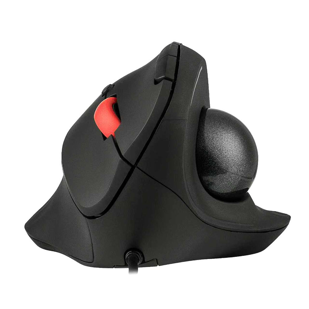 เมาส์ทรงลูกบอลสีดำ