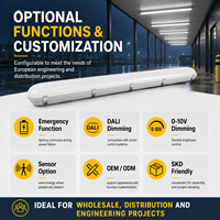 Projecteur LED Tri-Proof IP65 20W-60W étanche avec garantie de 5 ans pour auvent extérieur, zone de chargement et passerelle couverte
