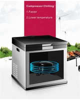 Mini-réfrigérateur en acier inoxydable 18L 12V/220V pour voiture avec roulettes, refroidissement par compresseur, réfrigérateur et congélateur