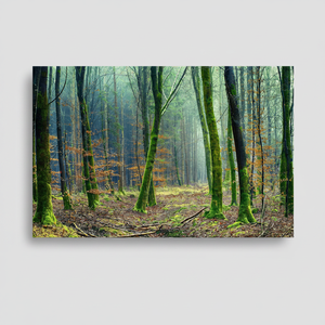 Elegante Lienzo Impreso con Paisaje Forestal en 3D para Decoración del Hogar, Lienzo Enrollado - Product Image 2