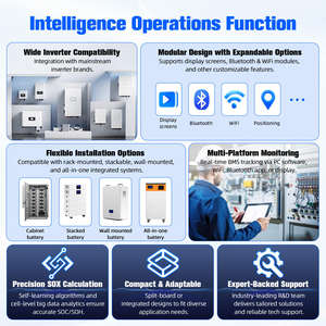 Tianpower 16S 48V 200A Lifepo4 BMS 호환 공장 태양열 축전지 용 스마트 Bms - Product Image 4