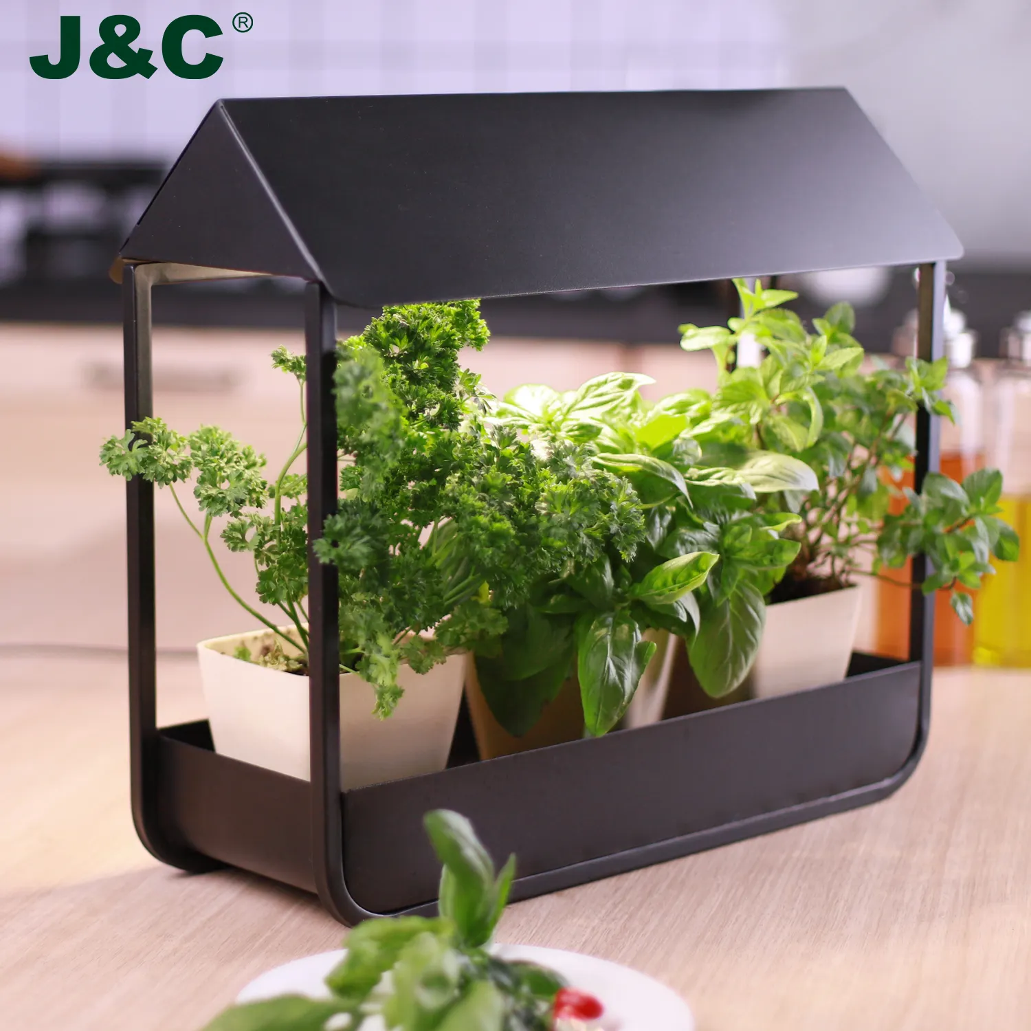J & C Minigarden Mini Indoor <span class=keywords><strong>Tuin</strong></span> Self Watering <span class=keywords><strong>Led</strong></span> Planter Pod Nordic Metalen <span class=keywords><strong>Staal</strong></span> Keuken Indoor <span class=keywords><strong>Tuin</strong></span>