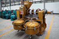 Presse à huile de soja combinée à contrôle automatique de la température YZLXQ120 avec filtre à pression d'air pour presser les graines de tournesol et les arachides