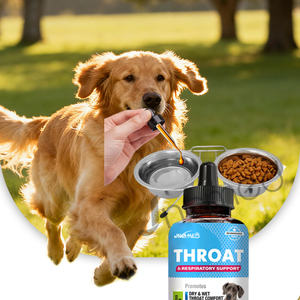 Complément pour chiens et chats Traitement de la toux de la cage pour chiens et chats Allergie canine Asthme félin Soulagement de la toux Suppresseur de toux pour animaux de compagnie - Product Image 2