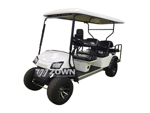 Voiturette de golf électrique populaire pour adultes, 6 places, batterie lithium 48V, structure en acier, sièges en cuir, 30-50 km/h, certifiée CE - Product Image 1