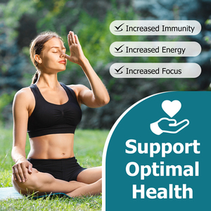 High Quality Mushroom Matcha Promote Cognitive Function Enhance Mood Wellbeing Dairy Egg Free Matcha Increased Immunity - Product Image 5