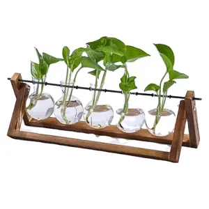 Indoor Wooden Stand Water Planting Propagation Stations Air Glass Planter Bulb Vase Clear Glass Ornaments Plants Terrarium